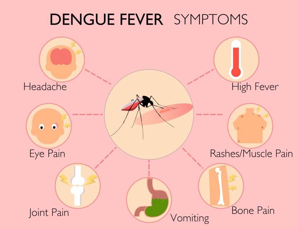Dengue fever